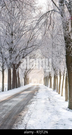 Grand beau paysage d'hiver douillet dans les Pays-Bas le long de old seawall la neige, la glace et le brouillard Banque D'Images