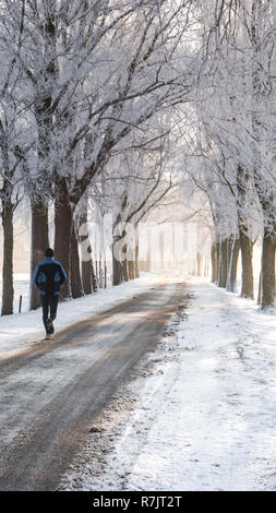 Grand beau paysage d'hiver douillet dans les Pays-Bas le long de old seawall la neige, la glace et le brouillard Banque D'Images
