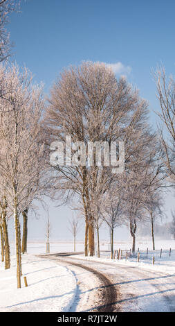 Grand beau paysage d'hiver douillet dans les Pays-Bas le long de old seawall la neige, la glace et le brouillard Banque D'Images