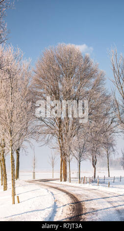 Grand beau paysage d'hiver douillet dans les Pays-Bas le long de old seawall la neige, la glace et le brouillard Banque D'Images