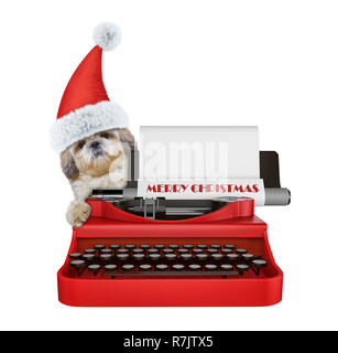 Santa mignon chien shitzu est saisie sur un clavier de machine à écrire. Isolated on white Banque D'Images