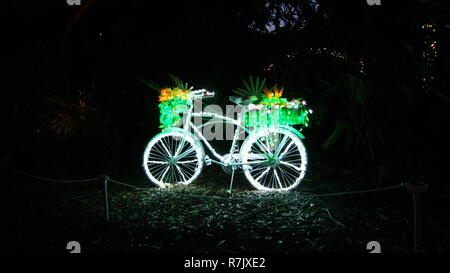 Vélo décoré de lumières de Noël féerique à isolé nuit noire avec de belles fleurs et plantes dans le panier Banque D'Images