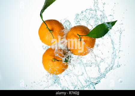 Les oranges, les éclaboussures d'eau sur fond blanc Banque D'Images