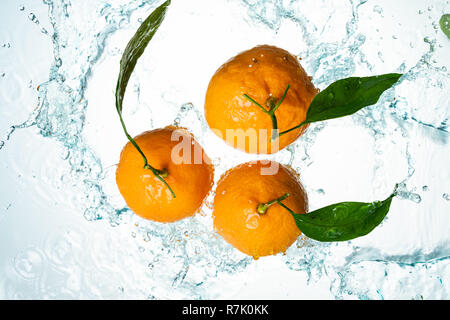 Les oranges, les éclaboussures d'eau sur fond blanc Banque D'Images