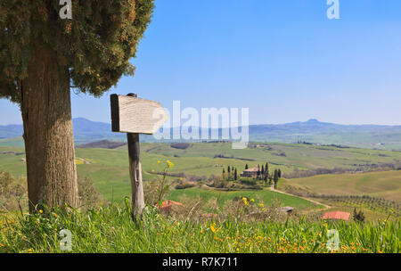 Cyprès et panneau en bois sur prairie avec des fleurs jaunes en face de campagne toscane. L'accent sur le premier plan. Mettre votre propre texte dans le signe. Banque D'Images