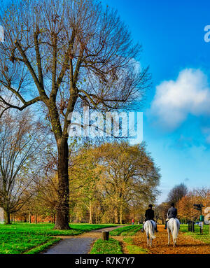 L'équitation dans Hyde Park à Londres Banque D'Images