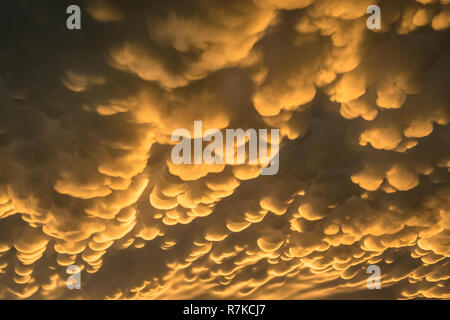 Capture de nuages mammatus détaillées ci-dessous l'enclume d'un orage violent. Photographié à l'arrière d'un violent orage au-dessus du nord de l'Arizona Banque D'Images