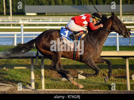 8 décembre 2018 - Hallandale Beach, Floride, États-Unis - le 8 décembre 2018 : # 3 Kukulkan (MEX) et l'IRAD Ortiz, Jr., gagner la coupe des Caraïbes (enjeux classique Type noir) au cours de la Clasico del Caribe à Gulfstream Park le 8 décembre 2018 à Hallandale Beach, FL. (Photo par Damon/Charge Sportswire Eclipse/CSM) Banque D'Images