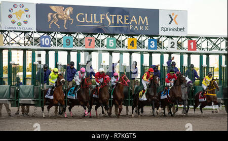 8 décembre 2018 - Hallandale Beach, Floride, États-Unis - le 8 décembre 2018 : tout clair à partir de la porte dans les Caraïbes Cup Classic Stakes (noir) pendant le Clasico del Caribe à Gulfstream Park le 8 décembre 2018 à Hallandale Beach, FL. (Photo par Dennis Carson/Eclipse Sportswire/CSM) Banque D'Images