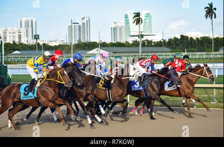 8 décembre 2018 - Hallandale Beach, Floride, États-Unis - le 8 décembre 2018 : un nouveau départ pour tous dans la Confraternité Caribbean Cup Stakes (noir) pendant le Clasico del Caribe à Gulfstream Park le 8 décembre 2018 dans Hallandal e Beach, FL. (Photo par Damon/Charge Sportswire Eclipse/CSM) Banque D'Images