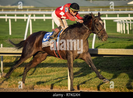 8 décembre 2018 - Hallandale Beach, Floride, États-Unis - le 8 décembre 2018 : # 3 Kukulkan (MEX) et l'IRAD Ortiz, Jr., gagner la coupe des Caraïbes (enjeux classique Type noir) au cours de la Clasico del Caribe à Gulfstream Park le 8 décembre 2018 à Hallandale Beach, FL. (Photo par Damon/Charge Sportswire Eclipse/CSM) Banque D'Images