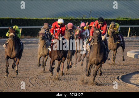 8 décembre 2018 - Hallandale Beach, Floride, États-Unis - le 8 décembre 2018 : # 3 Kukulkan (MEX) et l'IRAD Ortiz, Jr., gagner la coupe des Caraïbes (enjeux classique Type noir) au cours de la Clasico del Caribe à Gulfstream Park le 8 décembre 2018 à Hallandale Beach, FL. (Photo par Damon/Charge Sportswire Eclipse/CSM) Banque D'Images