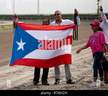 8 décembre 2018 - Hallandale Beach, Floride, États-Unis - le 8 décembre 2018 : # 2 Mishegas et de l'IRAD Ortiz, Jr., à bord pour Porto Rico, gagner la Coupe Internationale Enjeux (noir) pendant le Clasico del Caribe à Gulfstream Park le 8 décembre 2018 à Hallandale Beach, FL. (Photo par Dennis Carson/Eclipse Sportswire/CSM) Banque D'Images