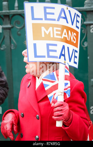 Westminster London, UK, 10 décembre 2018. Des militants de l'Anti-Brexit' ou 'demeurent, ainsi que les militants de la "laisser signifie laisser ' ,qui veulent quitter l'UE, sont de manifestations devant les Chambres du Parlement à Westminster avec des pancartes, des banderoles et des chants. Les deux parties semblent clairement rejeter l'Brexit offert "donner". Credit : Imageplotter News et Sports/Alamy Live News Banque D'Images