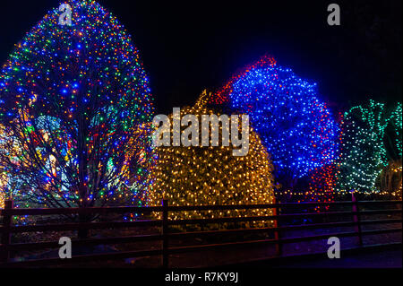 03320 West Cork, Irlande. Dec 10, 2018. Noreen McSweeney's Christmas lights afficher attire des centaines de personnes du West Cork. Noreen a été mise à l'écran pendant 20 ans pour recueillir des fonds pour la charité. Credit : Andy Gibson/Alamy Live News. Banque D'Images