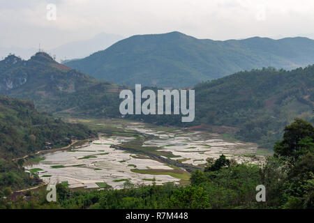 Champs de riz entouré de montagnes dans la région de Ha Giang au nord du Vietnam Banque D'Images