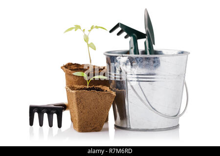 Outils de jardin avec des semis de la tomate et du poivron isolé sur fond blanc, close-up Banque D'Images