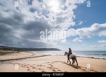 Royaume-uni, Ecosse, North Ayrshire, Arran island, Blackwaterfoot, cheval sur beach Banque D'Images