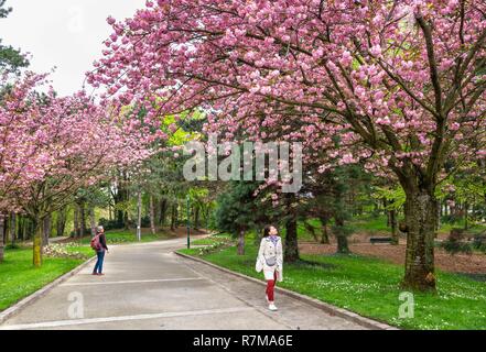 France, Paris, Parc Georges-Brassens dans le 15ème arrondissement sur le site de l'ancien abattoir de Vaugirard Banque D'Images