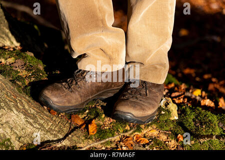 Walker portant des bottes de marche debout sur moss couverts banque en bois en automne, Checkendon, Oxfordshire, England, UK Banque D'Images