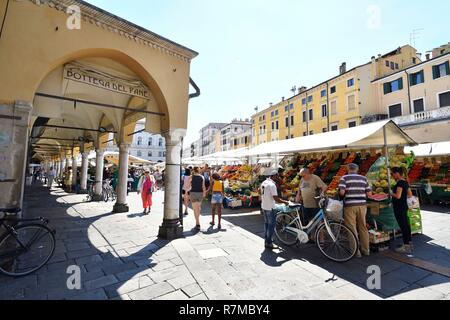 L'Italie, Vénétie, Padova, Padoue, Piazza della Frutta, marché Banque D'Images