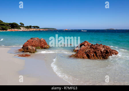 La célèbre plage de Palombaggia sur l'île de Corse avec ses rochers rouges typiques et l'eau turquoise. Banque D'Images