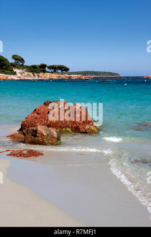 La célèbre plage de Palombaggia sur l'île de Corse avec ses rochers rouges typiques et l'eau turquoise. Banque D'Images