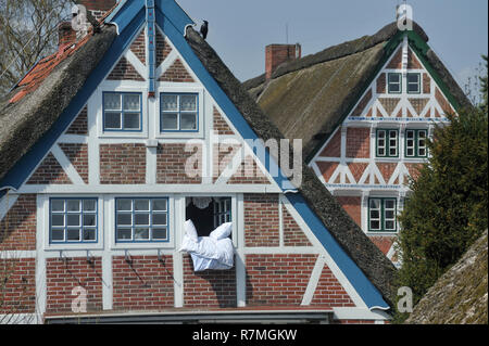 Fachwerkaus im Alten Land Banque D'Images