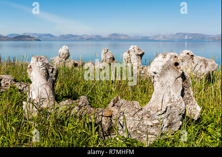 L'os de baleine, allée de l'Île Yttygran, Tchoukotka, Russie Banque D'Images