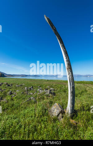 L'os de baleine, allée de l'Île Yttygran, Tchoukotka, Russie Banque D'Images