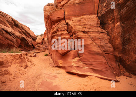 Canyon Waterhole - un slot canyon causés par les crues éclair, coupant à travers les rochers de grès Navajo rouge près de Page, Arizona, USA Banque D'Images