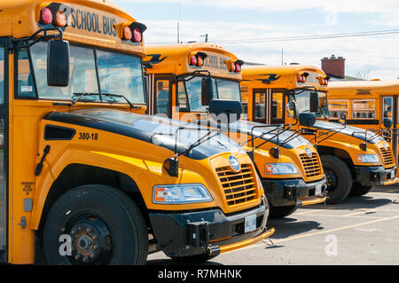 Une ligne de bus scolaire jaune garée. Banque D'Images