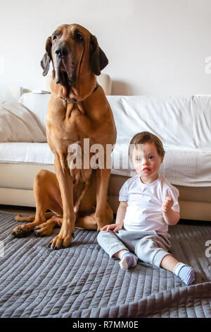 Mignon petit garçon avec le syndrome de jouer avec gros chien de race Fila Brasileiro Banque D'Images