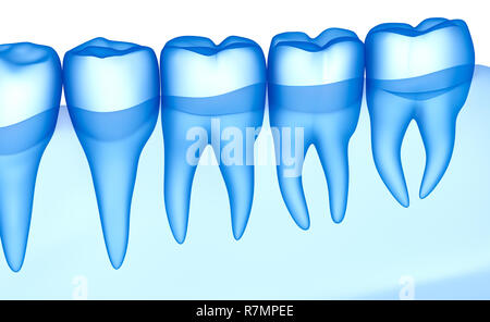 Dents transparent scan, xray view . Illustration 3D . Banque D'Images
