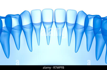 Dents transparent scan, xray view . Illustration 3D . Banque D'Images