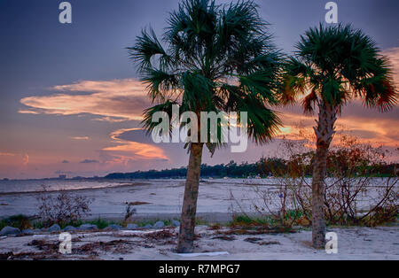 Le soleil se couche derrière deux palmiers sur la plage de Biloxi de Biloxi, Mississippi, le 6 septembre 2012. Banque D'Images