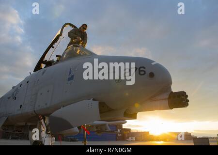 Airman Senior Alexander Arndt, un chef d'équipe avec la 124e Escadre de chasse, Boise, Idaho, prépare un A-10 Thunderbolt II pour le vol le 20 mars 2017, à la 124e Escadre de chasse. L'A-10 Thunderbolt II est conçu pour l'appui aérien rapproché des forces terrestres. Banque D'Images