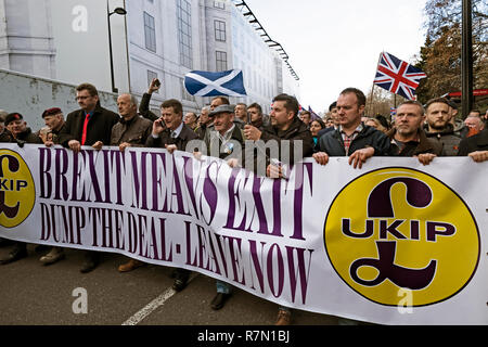 Londres Dec 9 2018. Ue anti, Pro Brexit trahison partisans descendre sur Londres et mars à Londres pour le rallye organisé par le chef de l'UKIP Gerard Batton et Tommy Robinson (Steven Yaxley-Lennon) photo Janine Wiedel Banque D'Images