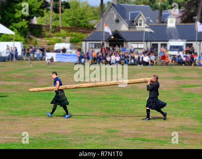 Les hommes portent la caber retour à être jeté par le concurrent suivant dans la jeter la caber événement au Highland Games à Aboyne, Ecosse Banque D'Images