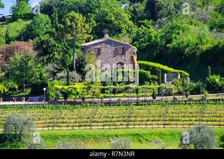 Vignoble avec une ferme à Montalcino, Val d'Orcia, Toscane, Italie. Montalcino est célèbre pour son vin Brunello di Montalcino. Banque D'Images