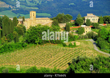 Vue sur campagne et une ferme près de Montalcino, Val d'Orcia, Toscane, Italie. Montalcino est célèbre pour son vin Brunello di Montalcino. Banque D'Images