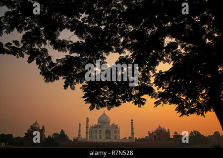 View of Taj Mahal encadré par une couronne de l'arbre au coucher du soleil, Agra, Uttar Pradesh, Inde. Taj Mahal a été désigné comme site du patrimoine mondial de l'UNESCO en 1983. Banque D'Images