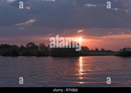 Coucher du soleil à Chobe river entre la Namibie, Botswana Banque D'Images