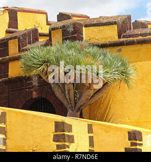 La forteresse de San tiago à Funchal à Madère Banque D'Images