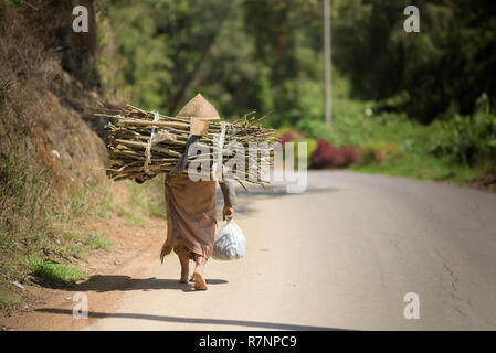 Une femme qui travaille dans des vêtements traditionnel javanais est vu de dos marchant le long d'une route de village, transporter le bois sur son dos. Banque D'Images