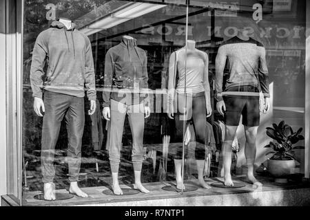 La vitrine d'un magasin à Harvard Square, Cambridge, MA Banque D'Images