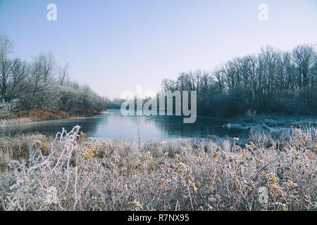Lac, forêt d'hiver et de l'herbe sèche dans le froid Banque D'Images