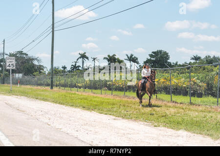 Homestead, USA - 30 Avril 2018 : Woman riding horse on Green grass par route autoroute en Floride près de Miami, signe de la limite de vitesse Banque D'Images