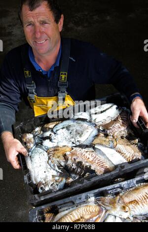 France, Manche, Blainville sur Mer, pêcheur seiche Charly Hardy Banque D'Images