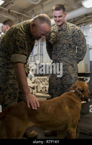 Mer des Philippines (21 mars 2017) Le lieutenant général Lawrence Nicholson, commandant général de l'III Marine Expeditionary Force, accueille Lance Cpl. Alex, Marquissee de Appleton, Wisconsin (Etats-Unis), un conducteur de chien de travail militaire, et son chien de travail militaire Gage lors d'une visite à bord du navire d'assaut amphibie USS Bonhomme Richard (DG 6). Au cours de sa visite, Nicholson a visité plusieurs centres, s'est entretenu avec Bonhomme Richard marins et soldats de la 31e Marine Expeditionary Unit (MEU) et s'assit pour un dîner avec la commande file. USS Bonhomme Richard, navire amiral du Bonhomme Richard, groupe expéditionnaire avec e Banque D'Images